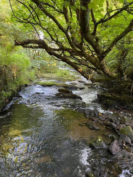 Banc Cottage Moylgrove Dış mekan fotoğraf
